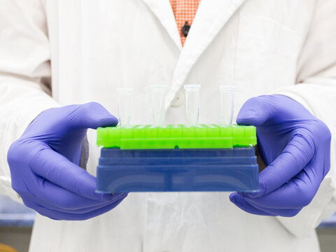 The scientist holds a tripod with small Eppendorf tubes in front of him.
