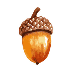 Watercolor Acorn Illustration Isolated On White Background.