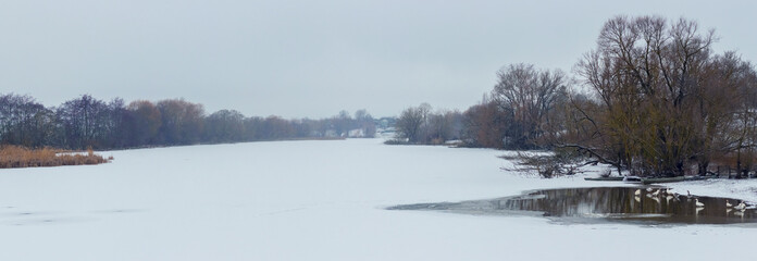 Fototapeta premium Panoramic winter landscape with a completely frozen and snow-covered reservoir framed by bare trees and shrubs on both sides creating a cold, calm and spacious nature background