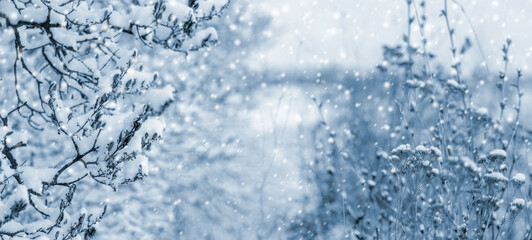 Winter frame bordered snowy branches dry plants foreground heavy snowfall bokeh background