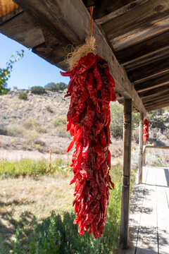 Ristra or sarta of drying New Mexico Chiles. El Rancho de Las Golondrinas (The Ranch of the Swallows), historic rancho, now a living history museum near Santa Fe, New Mexico.
