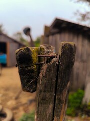 Weathered wooden fence post standing in green grass