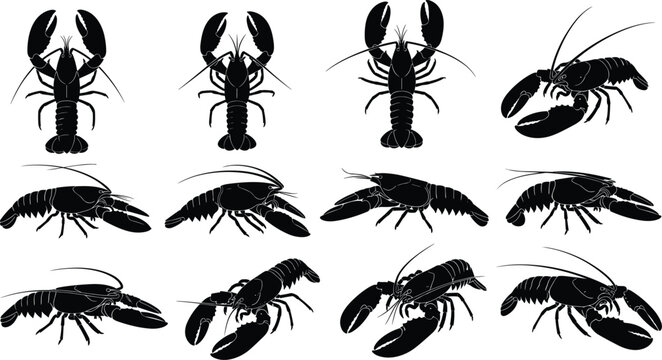 Lobster silhouette collection, black vector icons in varied poses and angles for seafood design, marine biology, crustacean study, and culinary themes