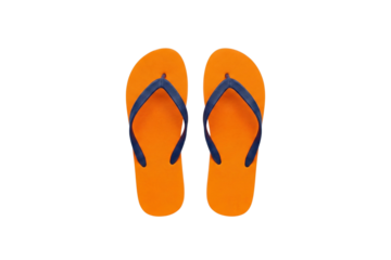 Flip flops pair isolated summer footwear