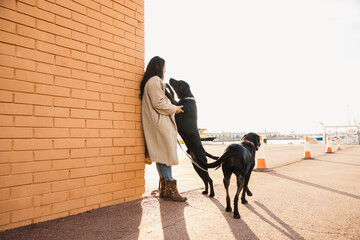 Woman bonding with black labrador dogs outdoors