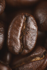 El gran grano de café