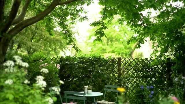Sunny lush backyard garden view featuring lattice fence, leafy trees, and cozy seating