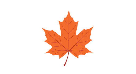 Fototapeta premium A vibrant orange maple leaf illustration perfectly captures the essence of autumn and fall, set against a clean white background.