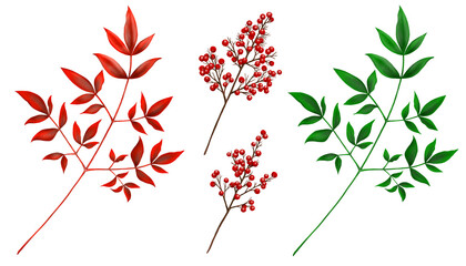 南天の葉と実の単品　緑と赤