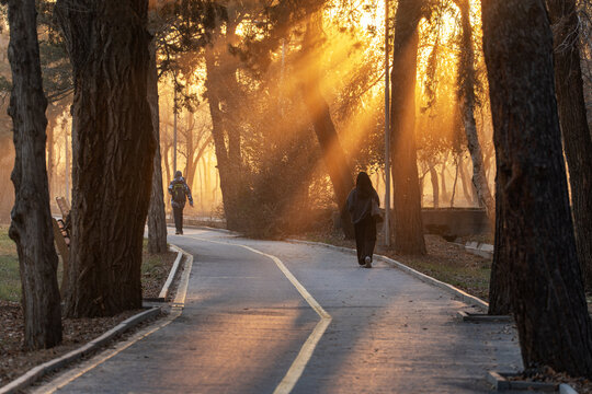 Two people are walking along a paved path in a park during the golden hour. The low sun creates warm, dramatic light rays filtering through the bare trees, illuminating the path and surroundings.