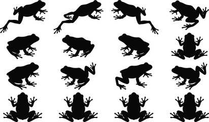 Frog animal vector silhouettes collection, set of various amphibian poses including sitting, jumping, and swimming, isolated black icons for nature and wildlife design elements.