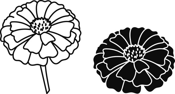 Vactor Black and white line art and silhouette of a marigold flower floral bloom