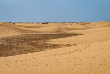 The Dunes of Maspalomas.