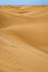 The Dunes of Maspalomas.