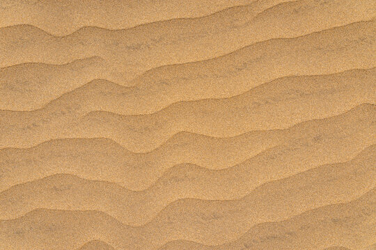 Sand from the Maspalomas desert on the island of Gran Canaria.