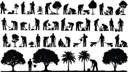 Tree planting process silhouettes, gardening activity, environmental care, nature growth, people working, soil preparation, watering plants, black icons, flat vector