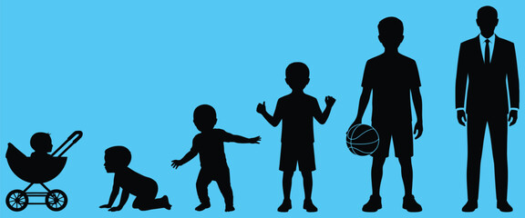 male life stages silhouette baby to man growth showing boy development aging process and adult transformation, ideal for educational info-graphics health presentations sociology studies timeline 