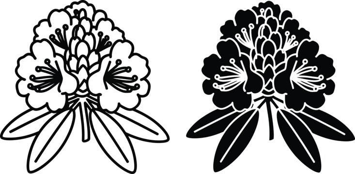 Vactor Black and white line art and silhouette of rhododendron flowers with leaves floral