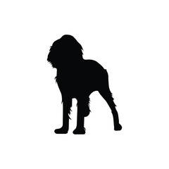 English Springer Dog silhouettes set, dog silhouette, animal vector, pet dog, hunting dog, canine