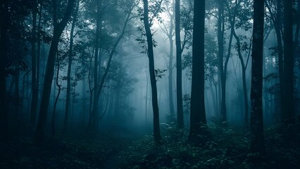 Fototapeta premium Mystical Foggy Jungle – Enchanted Atmosphere