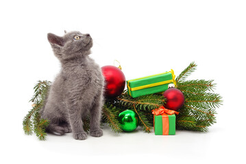 Gray kitten with Christmas decorations.