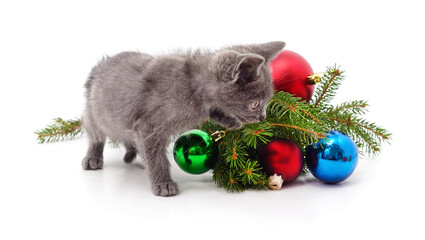 Gray kitten with Christmas decorations.
