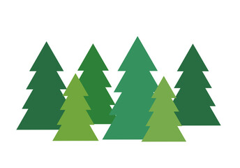 Christmas trees card. Spruce forest. PNG illustration on transparent background