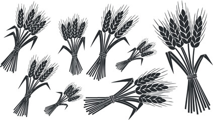 Obraz premium A collection of wheat bundles and stalks in black and white vector style, perfect for agricultural branding and packaging