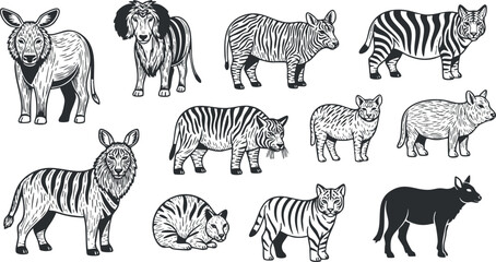 Fototapeta premium A collection of hand-drawn wild animal illustrations including lions, tigers, zebras, and bears in black and white vector style, ideal for educational materials and children's books