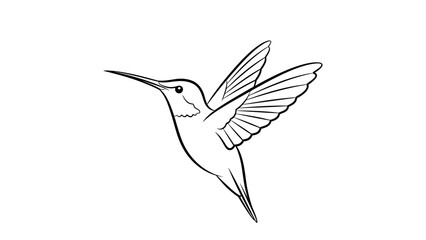 Graceful Hummingbird in Flight Line Art Illustration