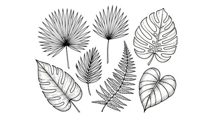 Collection of hand-drawn tropical leaves and botanical line art on white background.