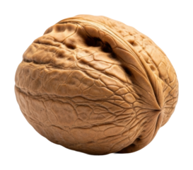 Harvesting walnuts in autumn nature study farm environment isolated on transparent background