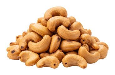 Cashew nut harvesting process farm food outdoors isolated on transparent background