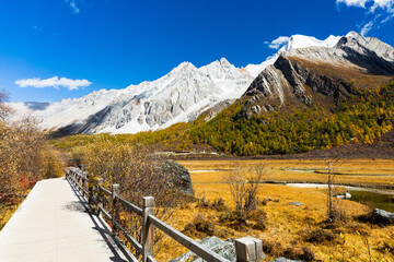 Beautiful Scenic of Luorong Grassland in Yading Nature Reserve