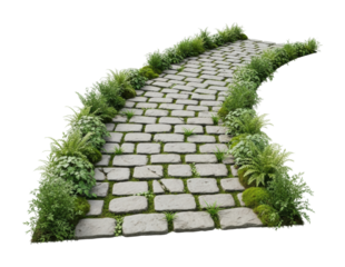 Scenic stone pathway surrounded by lush greenery in nature environment isolated on transparent background