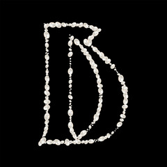 Capital Letters D of English alphabet. luxury and elegant font glamour french style