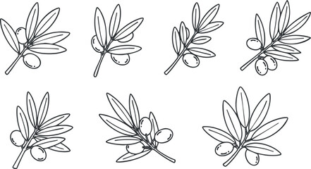 A collection of olive branches with leaves and fruits in black outline vector style, suitable for culinary designs and organic branding
