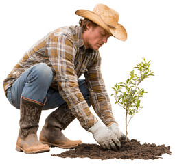 a man planting trees, wearing work boots and gloves on his hands, a hat on his head. the farmer man is planting a tree against an isolated transparent background.