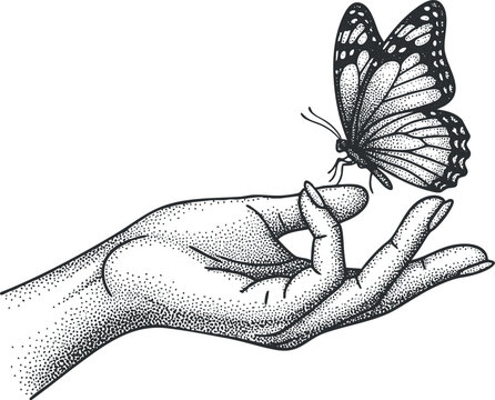 A detailed hand holding a butterfly in black and white vector style, ideal for nature-themed designs and artistic projects