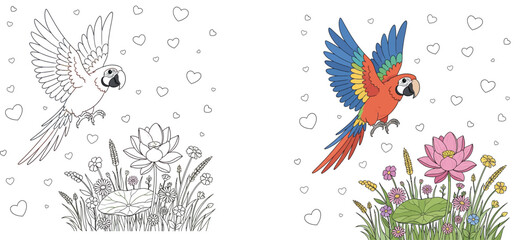 Colorful cartoon macaw parrot flying over beautiful lotus flowers and grass, happy bird character with love hearts background vector illustration