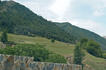 Naklejka premium Mountain hillside terrace vineyard stonewall landscape with green slopes and terraced fields under cloudy sky rural agriculture scene with trees grass and natural hillside panorama