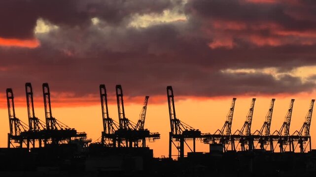 Dramatische Abendstimmung hinter der Silhouette der Hafenkr&auml;ne im Hafen von Hamburg