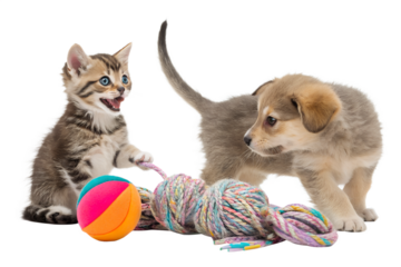 Playful puppy and kitten interacting with colorful pet toys rubber ball, rope toy, plush mouse. Energetic fun action, cute expressions, realistic fur detail, isolated on white or transparent PNG