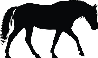 Black silhouette of a horse standing or walking with a bowed head, depicting a majestic domestic and wild animal figure, isolated equestrian vector illustration on white background.