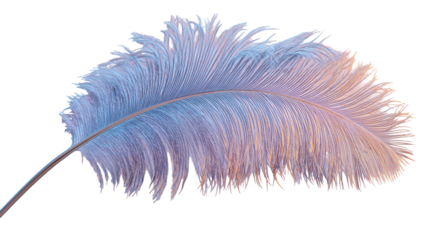 Delicate iridescent feather isolated on transparent background