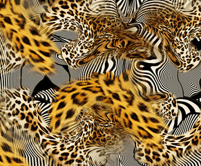 Leopard skin pattern texture; Fashionable print
