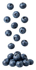 falling blueberries png isolated on transparent background
