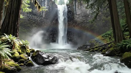 A majestic waterfall cascades into a river, surrounded by lush green foliage and a rainbow - Powered by Adobe