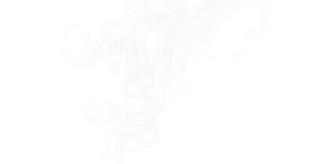 Ethereal Smoke Patterns Wisps of Vapor Dancing in Darkness Abstract Texture Mysterious Forms Ghostly Haze Serene