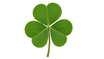 Green Fresh Three Leaf Clover